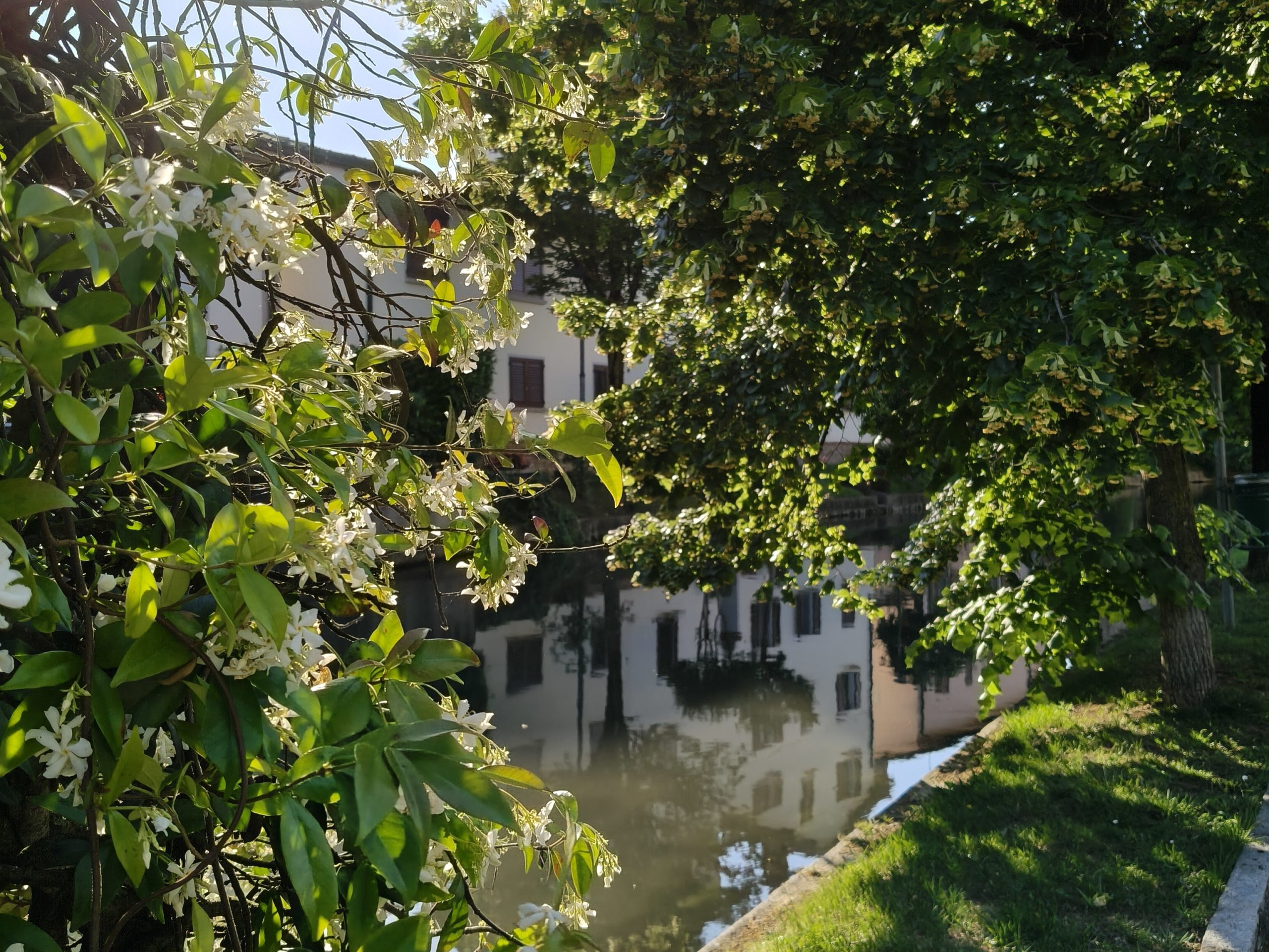 Oplus_19005472